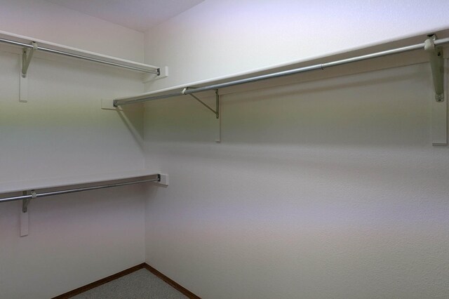 4508 Stockbridge Ave NW, Albuquerque, NM 87120 - spacious closet with carpet