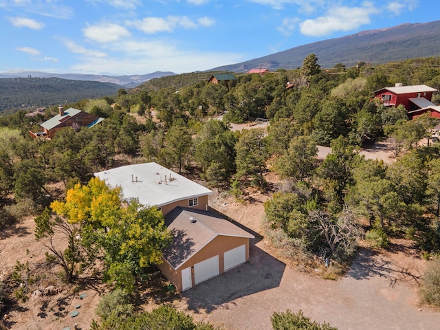 birds eye view of property featuring a mountain view