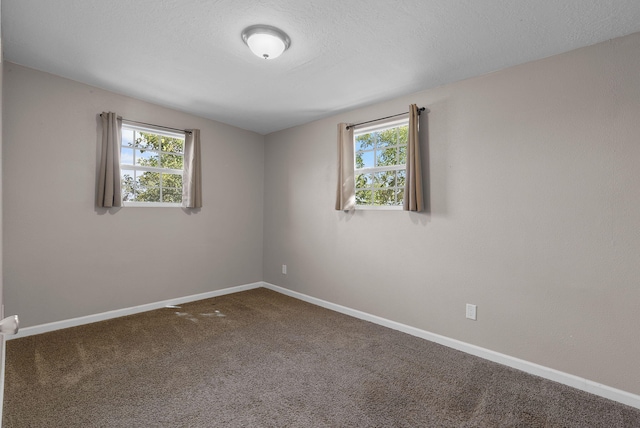 unfurnished room with carpet flooring and plenty of natural light