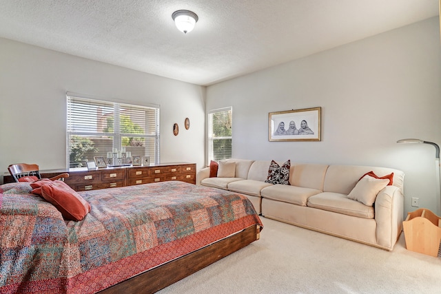 carpeted bedroom with a textured ceiling