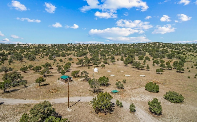 bird's eye view featuring a rural view