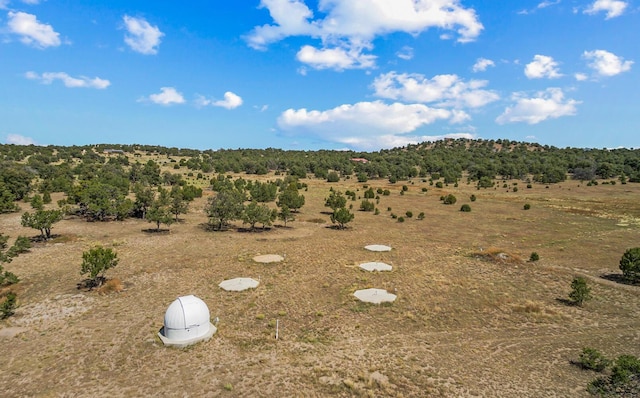 view of yard featuring a rural view