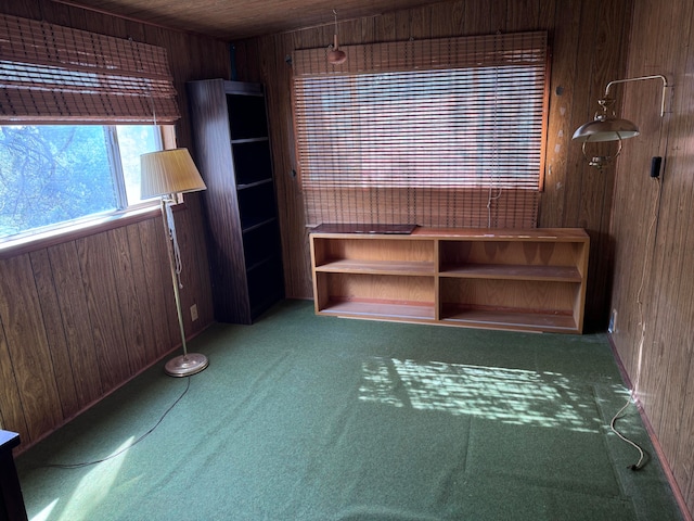 interior space featuring wood walls and carpet floors