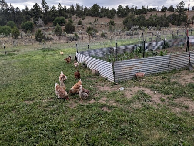 view of yard featuring a rural view