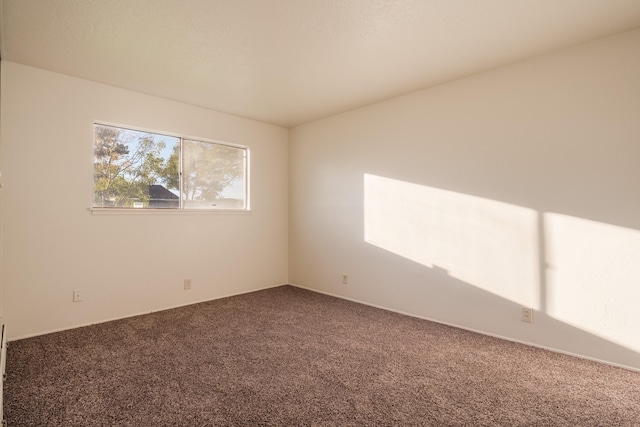 spare room with carpet floors