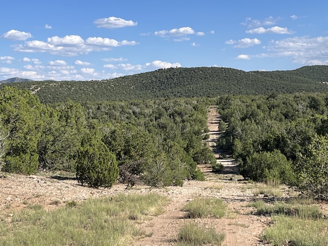 Listing photo 2 for Stagecoach, Sandia Park NM 87047