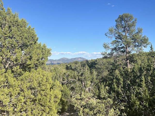 Stagecoach, Sandia Park NM, 87047 land for sale