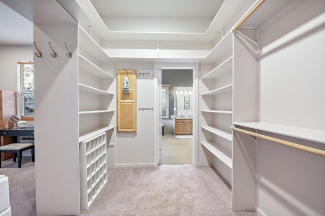 spacious closet with light carpet