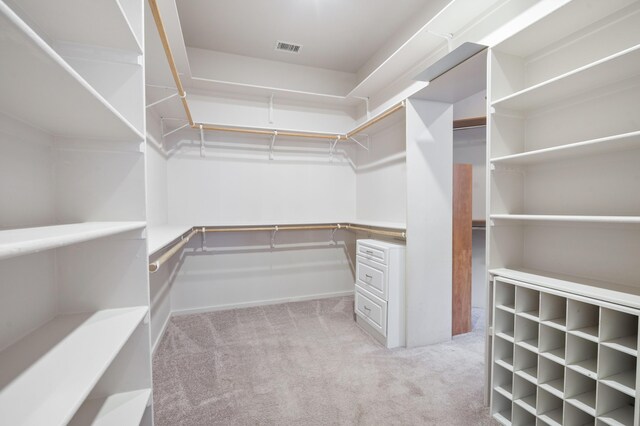 spacious closet featuring light carpet