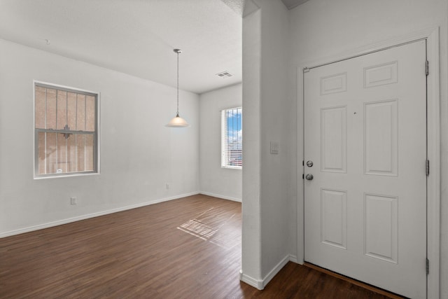 foyer entrance featuring dark wood-type flooring