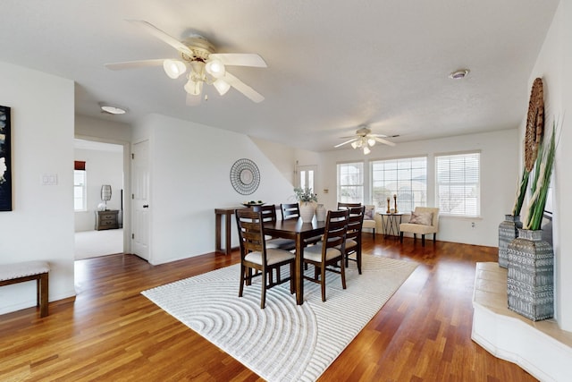 dining area featuring ceiling fan and hardwood / wood-style floors