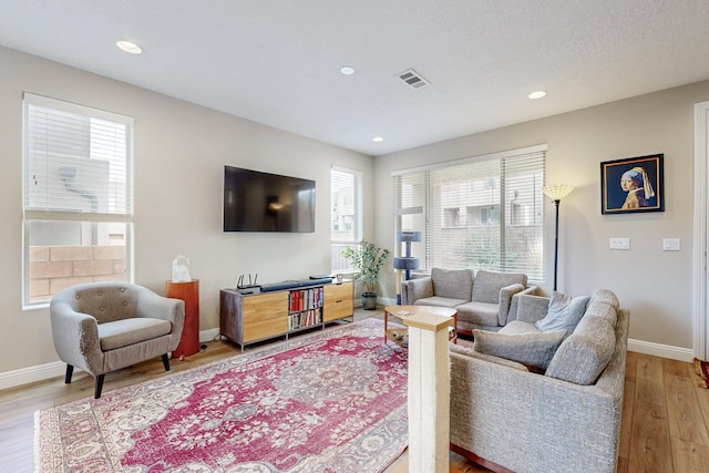 living room with wood-type flooring and a wealth of natural light