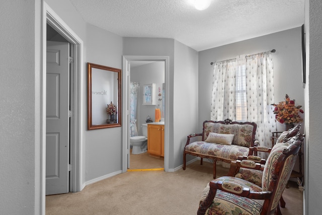 sitting room with light colored carpet and a textured ceiling