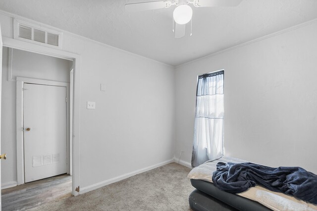 818 Granada St, Socorro, NM 87801 - photo 8
