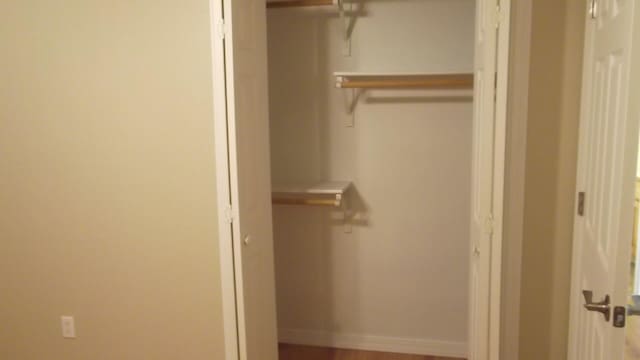 view of closet