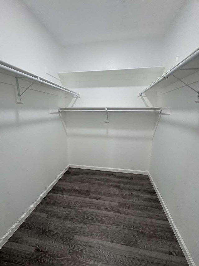 spacious closet with dark hardwood / wood-style floors