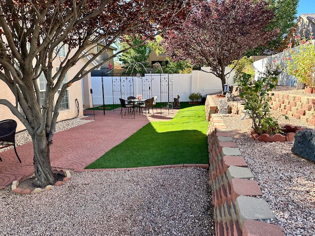 view of yard featuring a patio area