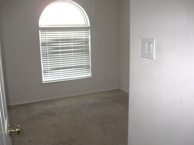 unfurnished room featuring carpet flooring