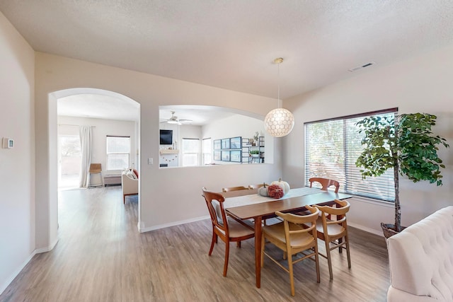 dining room featuring a wealth of natural light, a textured ceiling, wood-type flooring, and ceiling fan