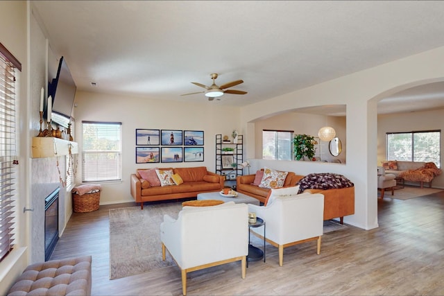 living room with ceiling fan, wood-type flooring, and plenty of natural light