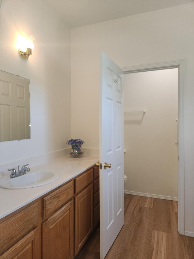 bathroom featuring wood-type flooring and vanity