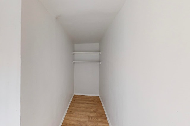 walk in closet with light wood-type flooring