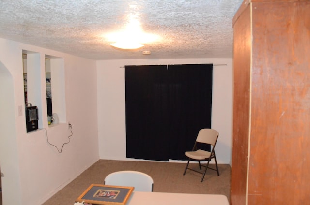sitting room featuring a textured ceiling