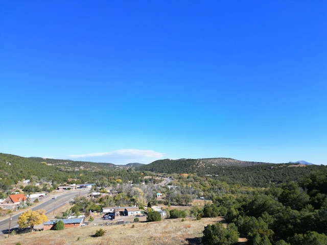 7 Shasta Ct, Cedar Crest, NM 87008 - view of mountain background