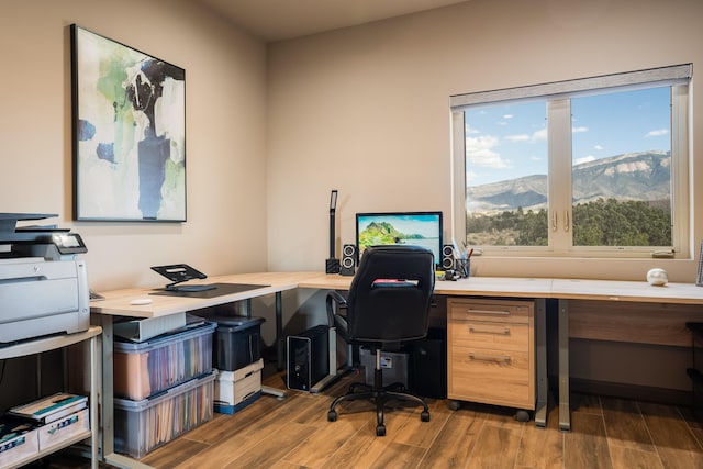 office featuring wood-type flooring