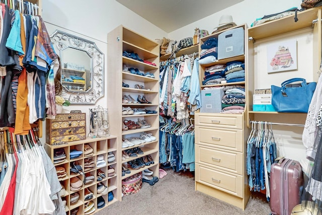 spacious closet featuring light colored carpet