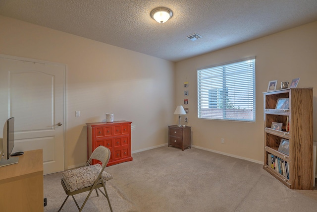 sitting room with a textured ceiling and light colored carpet