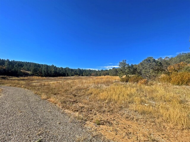 30 Verga Dr, Tijeras, NM 87059 - photo 27