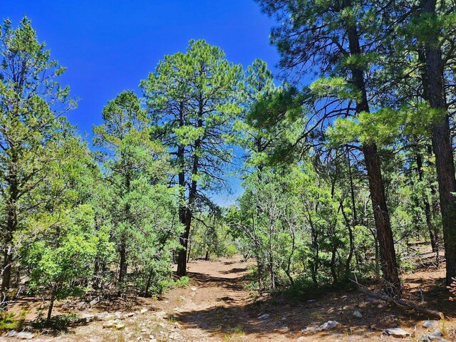 30 Verga Dr, Tijeras, NM 87059 - photo 23