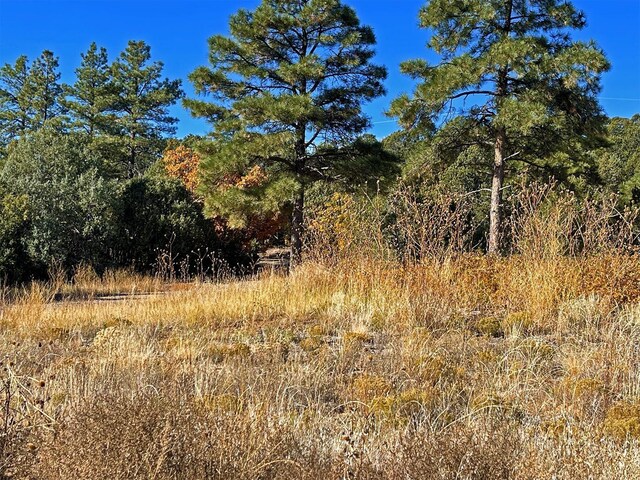 30 Verga Dr, Tijeras, NM 87059 - photo 21