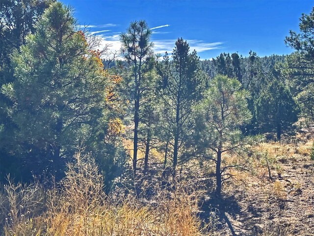 30 Verga Dr, Tijeras, NM 87059 - photo 20