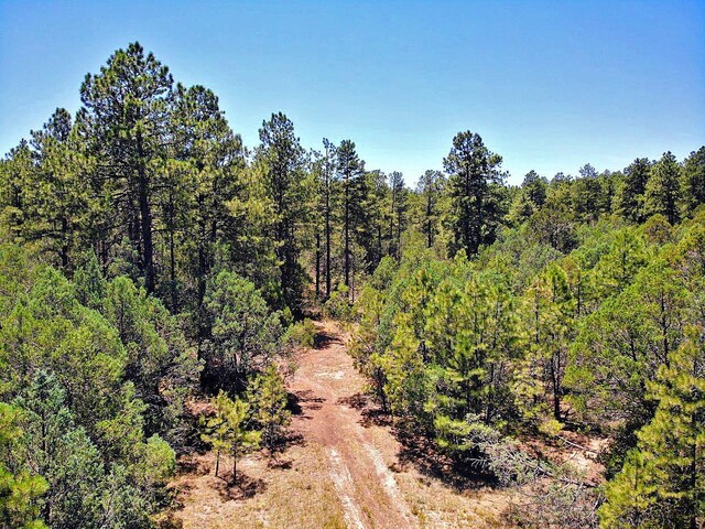 30 Verga Dr, Tijeras, NM 87059 - photo 16