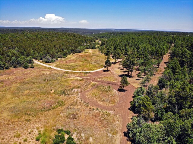 30 Verga Dr, Tijeras, NM 87059 - photo 13
