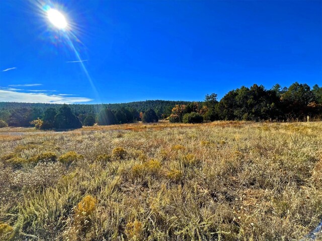 30 Verga Dr, Tijeras, NM 87059 - photo 42
