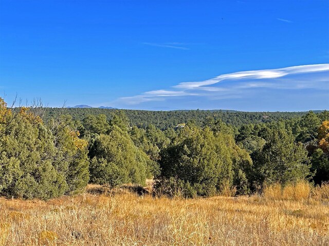 30 Verga Dr, Tijeras, NM 87059 - photo 41