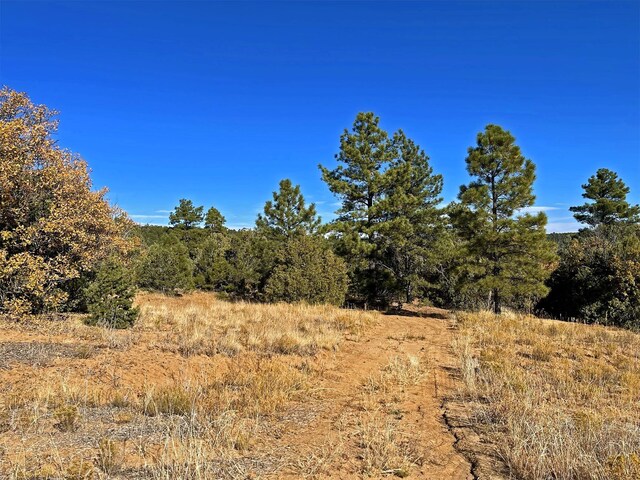 30 Verga Dr, Tijeras, NM 87059 - photo 40