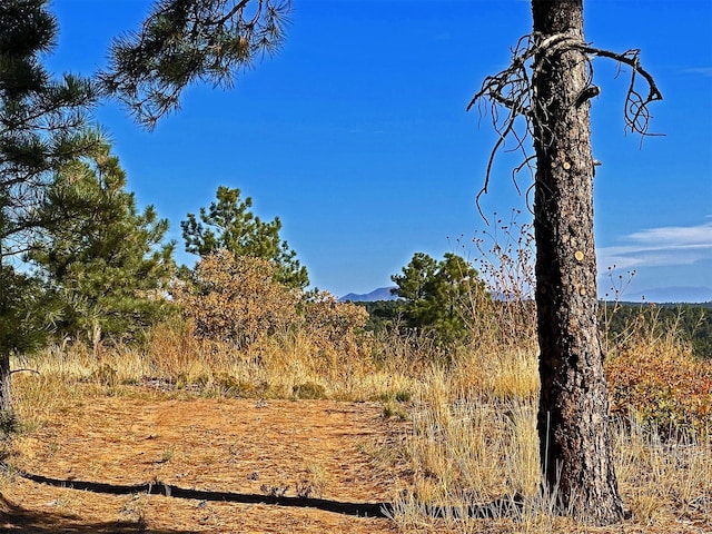 30 Verga Dr, Tijeras, NM 87059 - photo 37
