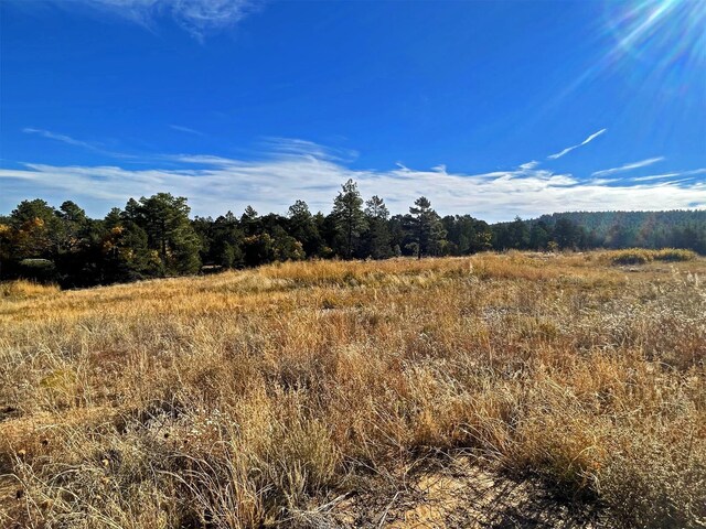 30 Verga Dr, Tijeras, NM 87059 - photo 30