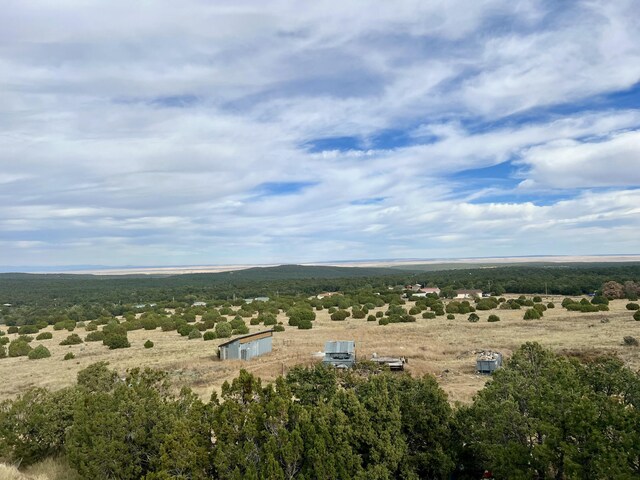 birds eye view of property featuring a rural view