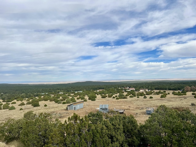 drone / aerial view featuring a rural view