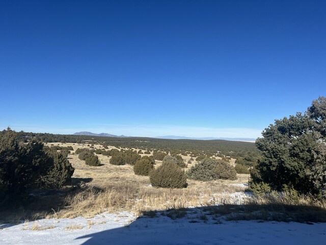 view of local wilderness featuring a mountain view