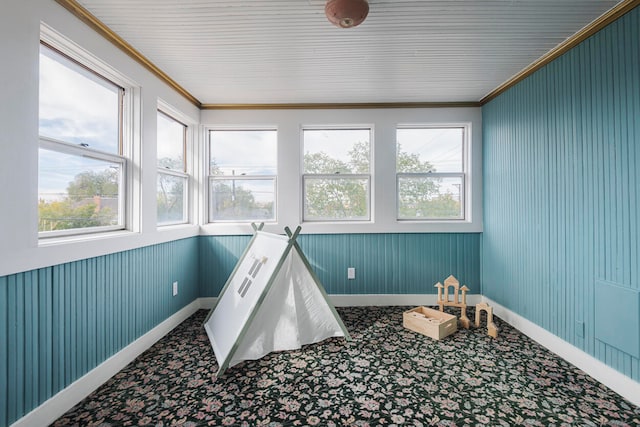 playroom with ornamental molding