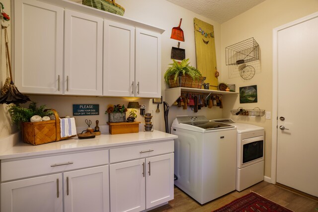 kitchen with a textured ceiling, tasteful backsplash, white cabinets, dark wood-type flooring, and stainless steel appliances