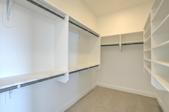 spacious closet featuring light carpet