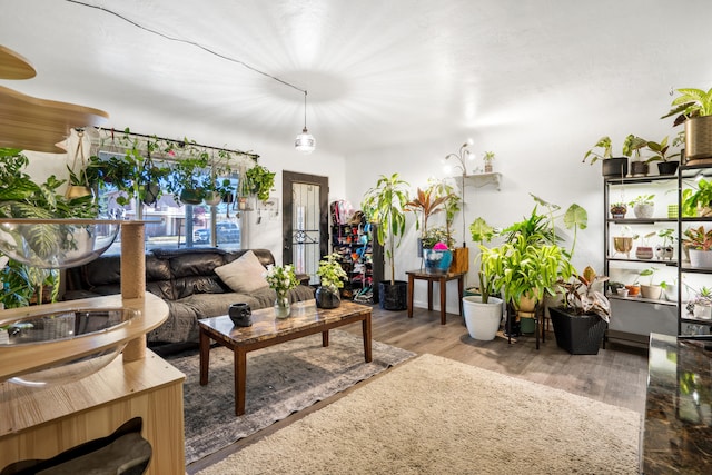 living room with hardwood / wood-style flooring