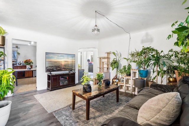 living room featuring dark hardwood / wood-style flooring